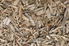 biomass boilers Llanarmon Dyffryn Ceiriog